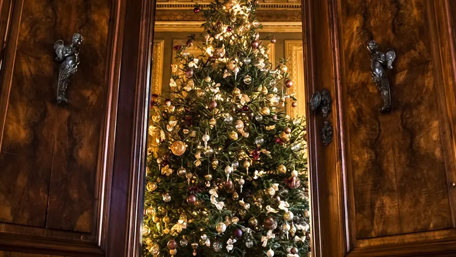 Choinka na Boże Narodzenie ustawiona w wielkiej sali za dębowymi drzwiami