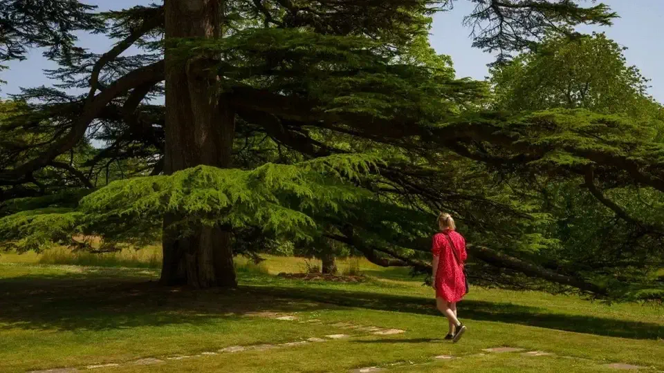 Knightshayes Court, National Trust. Magdalena Kiżewska.
