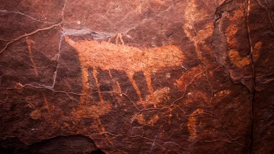 Kot domowy jego historia oraz legendy i ciekawostki o kotach. Koty na rysunkach naskalnych