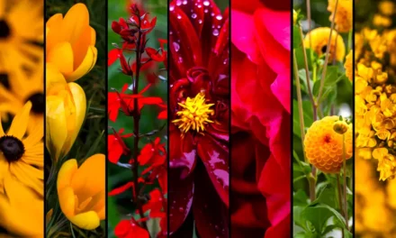 Pamiętajcie o ogrodach stamtąd przecież przyszliśmy