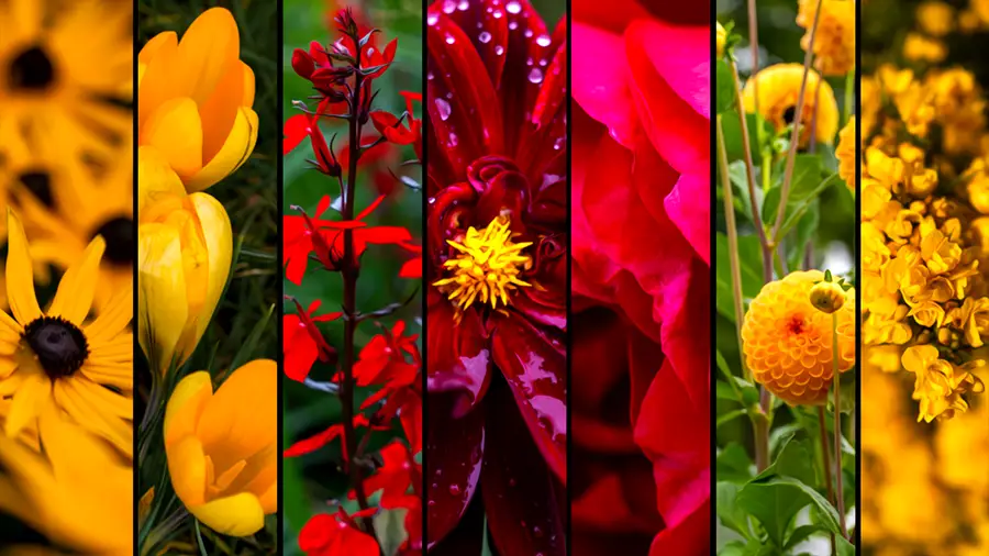 Pamiętajcie o ogrodach stamtąd przecież przyszliśmy