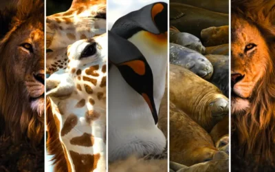 Orientarium w Łodzi i bardzo ciekawe łódzkie Zoo informacje i ciekawostki