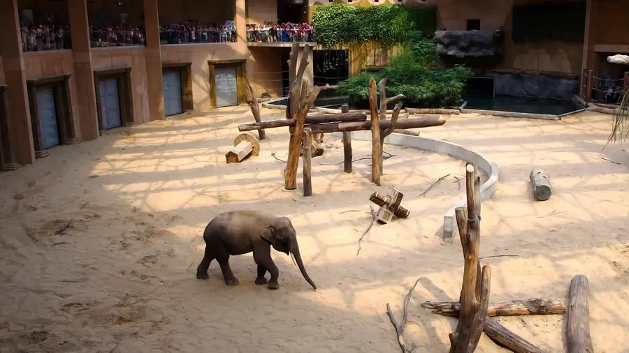 Strefa indyjska zoo w Łodzi