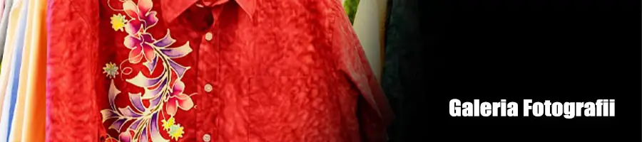 Farbiarnia link do artykułu