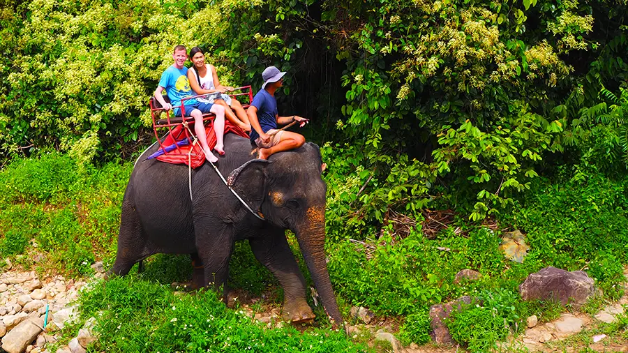 Wyprawa na słoniu przez wyspę Koh Chang