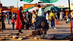 Dżami al-Fana w Marrakeszu węże i pokazy zwierząt