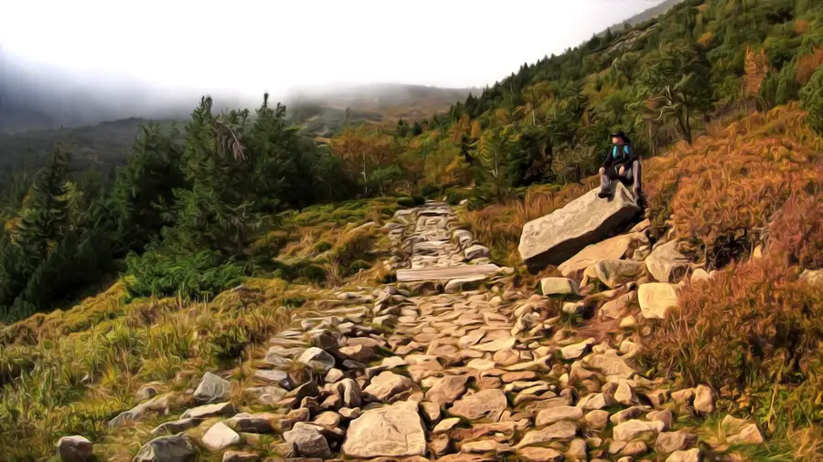 Śnieżka w Karkonoskim Parku Narodowym Michał Baranowski
