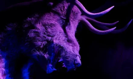 Karkonoskie Tajemnice w Karpaczu — Muzeum Ducha Gór