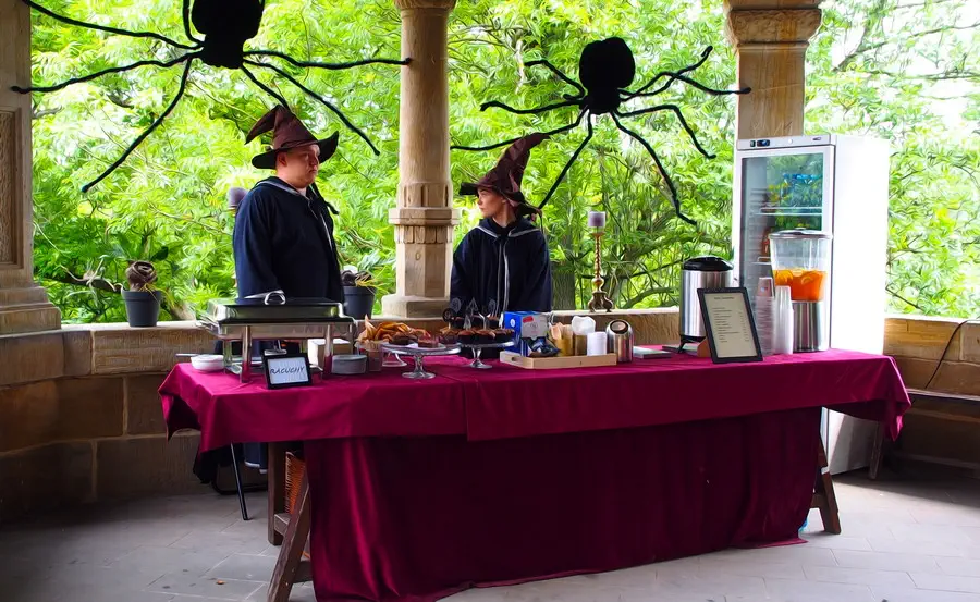 Harry Potter na zamku Czocha