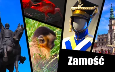 Zamość piękny ratusz, twierdza, muzea, zoo i inne atrakcje