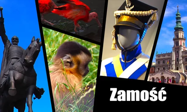 Zamość piękny ratusz, twierdza, muzea, zoo i inne atrakcje