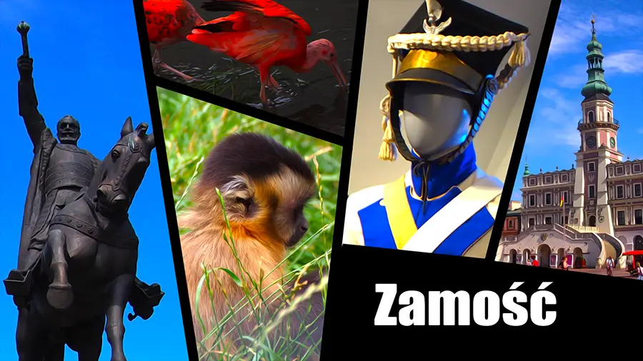 Zamość piękny ratusz, potężna twierdza, muzea, zoo i inne atrakcje