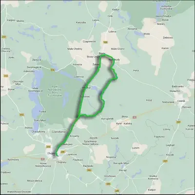 Kaszubska Marszruta zielona trasa rowerowa przez Bory Tucholskie