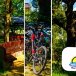 Kaszubska Marszruta rowerowe szlaki w Borach Tucholskich rowerem po kaszubach informacje i ciekawostki