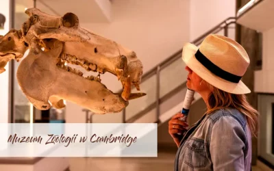 Muzeum Zoologii w Cambridge historia i zwiedzanie