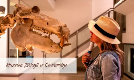 Muzeum Zoologii w Cambridge historia i zwiedzanie