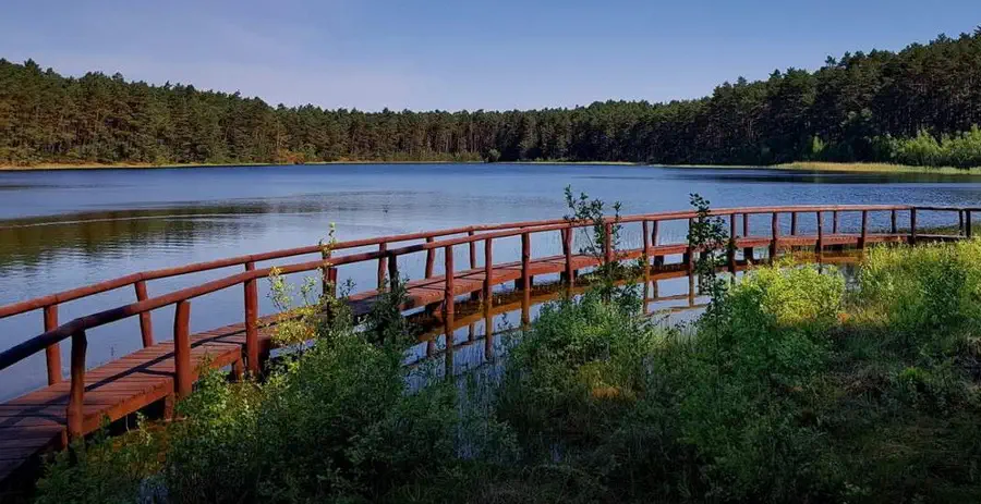 Bory Tucholskie ścieżki i szlaki