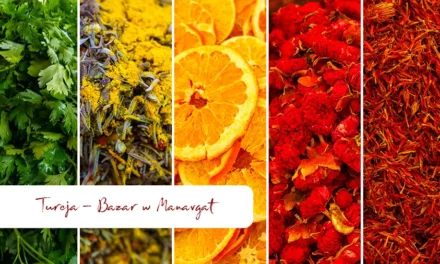 Bazar w Manavgat handlowe serce południowej Turcji