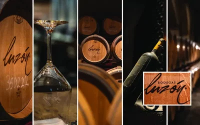 Winnica Bodegas Luzon w hiszpańskim regionie winiarskim Jumilla Murcja