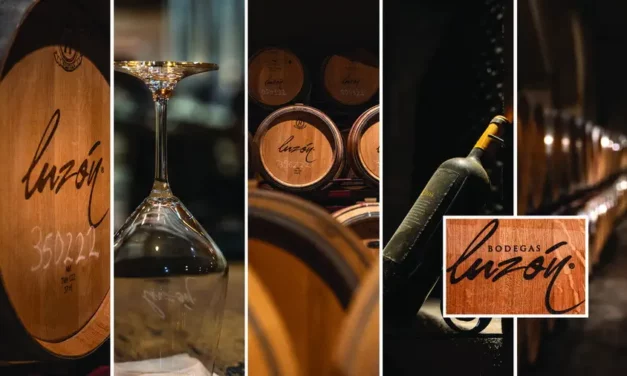 Winnica Bodegas Luzon w hiszpańskim regionie winiarskim Jumilla Murcja