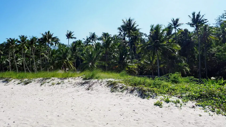 Plaża na wyspie Mindoro na Filipinach