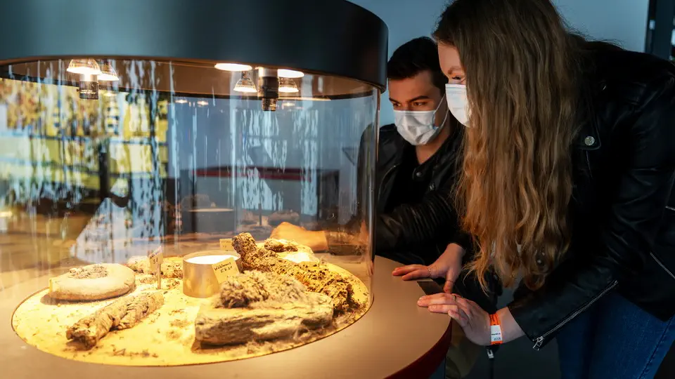 Technorama w Winterthur. Szwajcaria Technorama w Winterhur koło Zurichu biologia