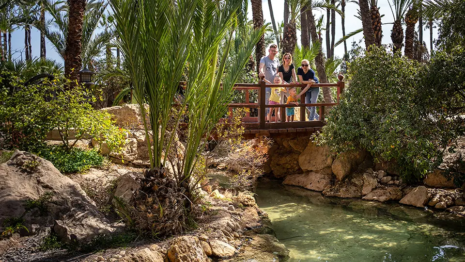 Most w parku El Palmeral w Alicante