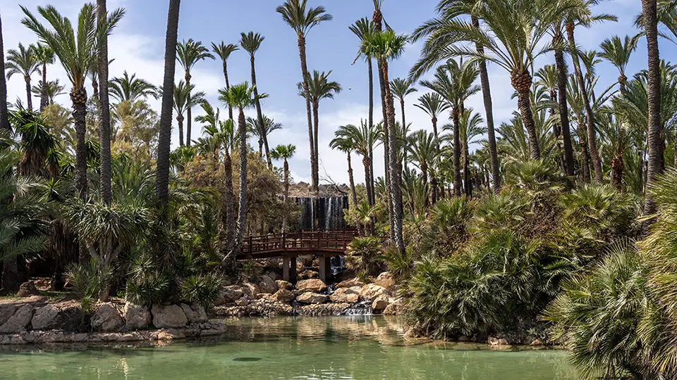 Palmy i wodospad w parku El Palmeral w Alicante