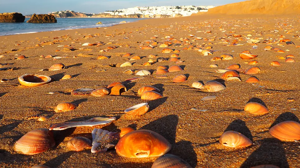 Plaża na wybrzeżu Algarve w Portugalii niedaleko Faro