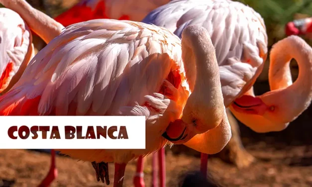 Atrakcje na Costa Blanca co robić i co zobaczyć