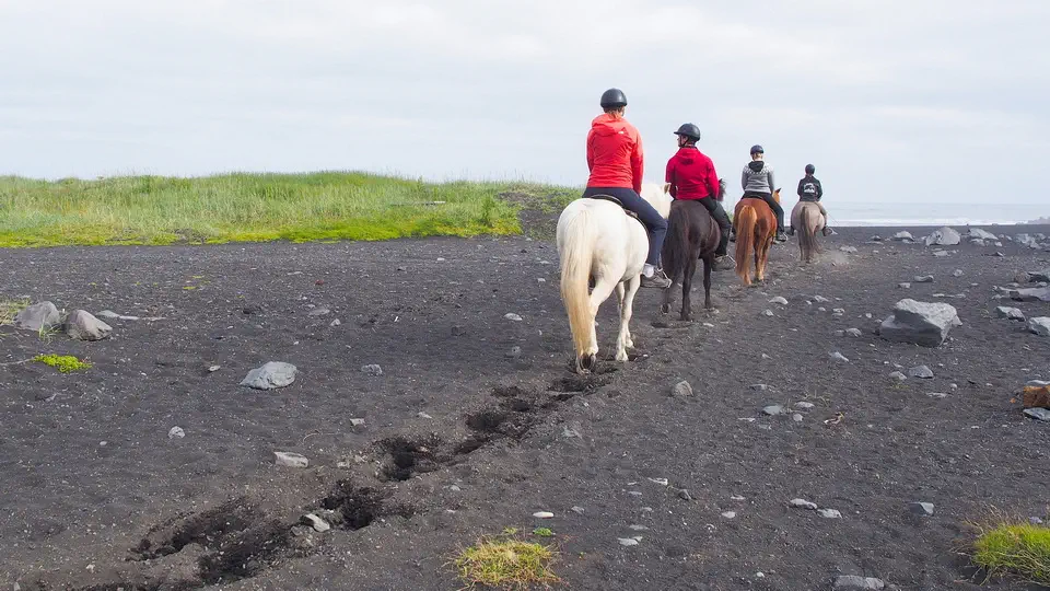 Islandia i jazda konna przez wyspę