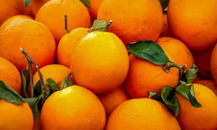 Ciekawostki o pomarańczach ich właściwości i zastosowanie