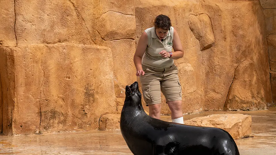 Popisy zwierząt w Rio Safari Elche