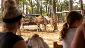Park rozrywki i ogród zoologiczny w Elche