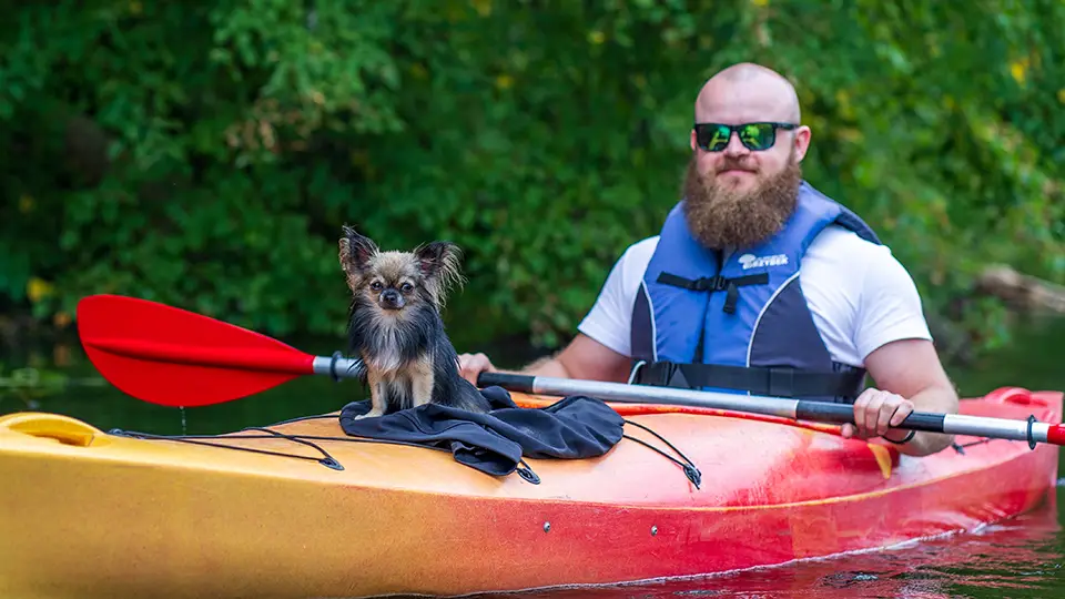 Rzeka Wda i pies w kajaku. Spływ kajakowy.