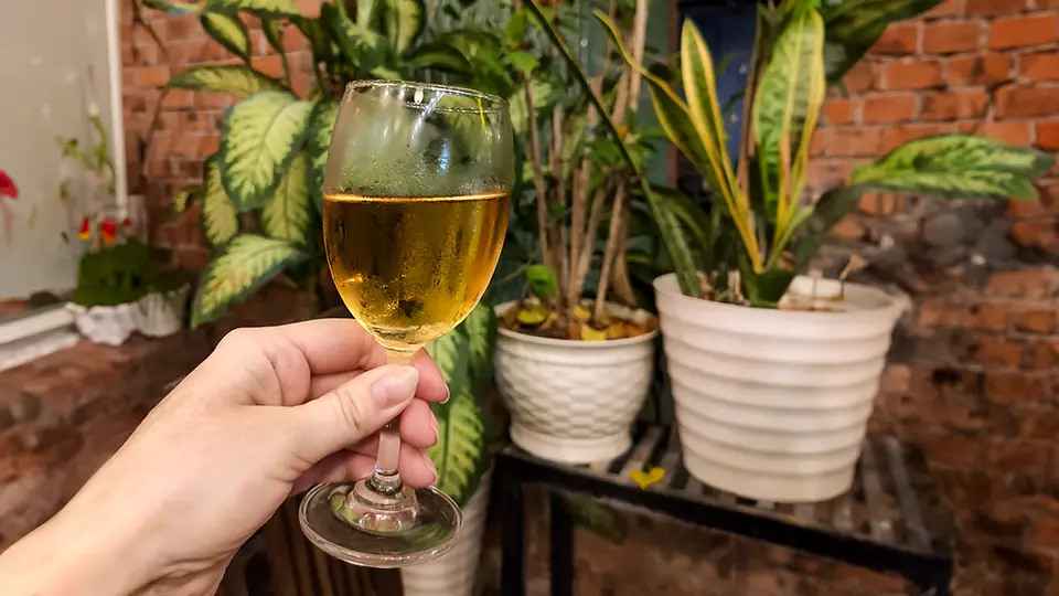 Wietnamskie wino Vang Dalat