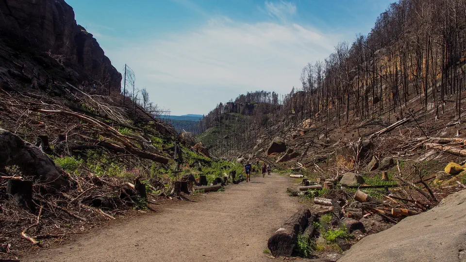 Brama Pravčicka Czechy, Czeskiej Szwajcarii, górski szlak