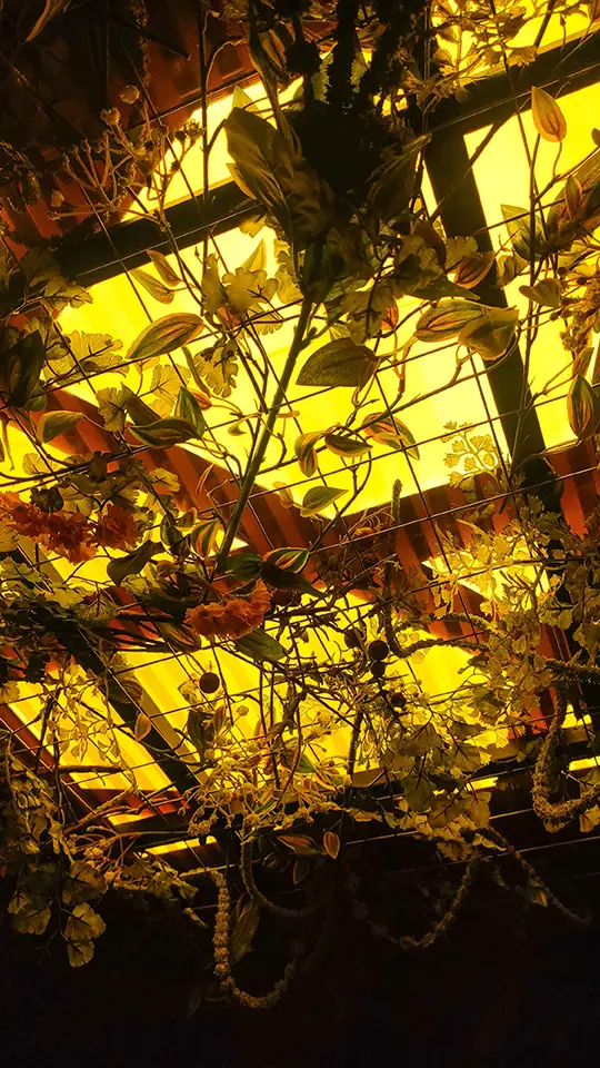 Hotel w Brukseli kwiaty i rośliny