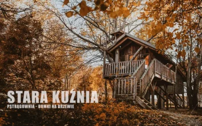 Stara Kuźnia – Domki na Drzewie w Pstrągowej: Marzenie z Dzieciństwa Spełnione!