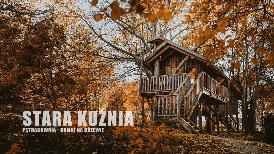 Stara Kuźnia – Domki na Drzewie w Pstrągowej: Marzenie z Dzieciństwa Spełnione!