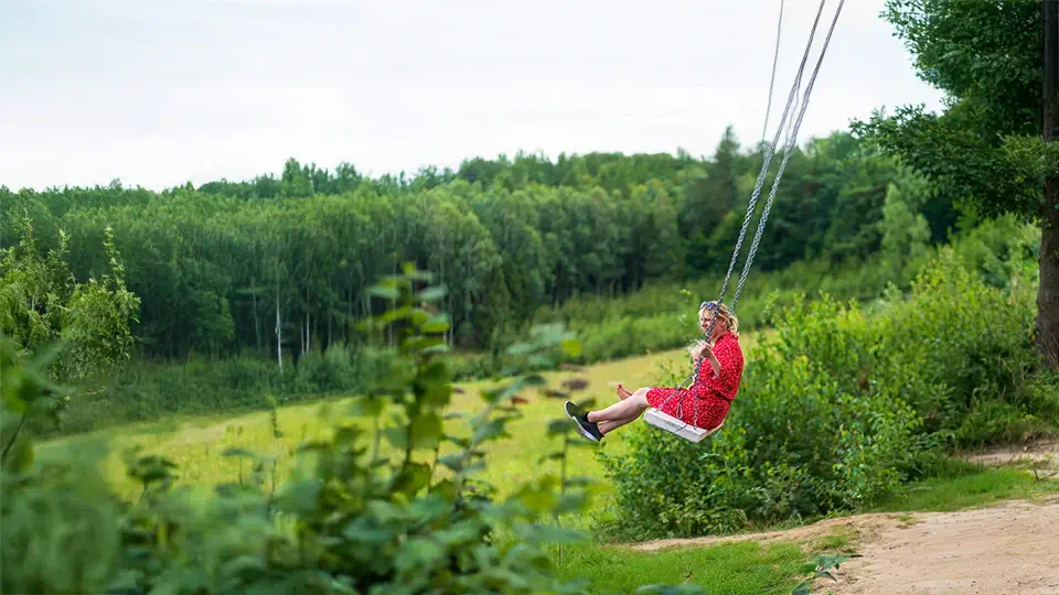 Kaszubski Park Gigantów we wsi Strysza Buda na Kaszubach. Magdalena Kiżewska.