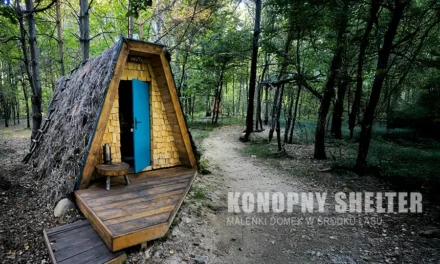 Konopny Shelter – maleński domek w środku lasu