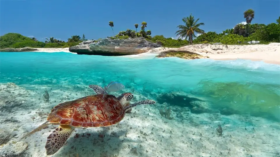 Luksusowe beach resorty.
