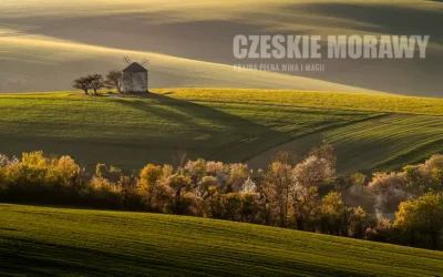 Czeskie Morawy — degustacja marzeń w Valticach