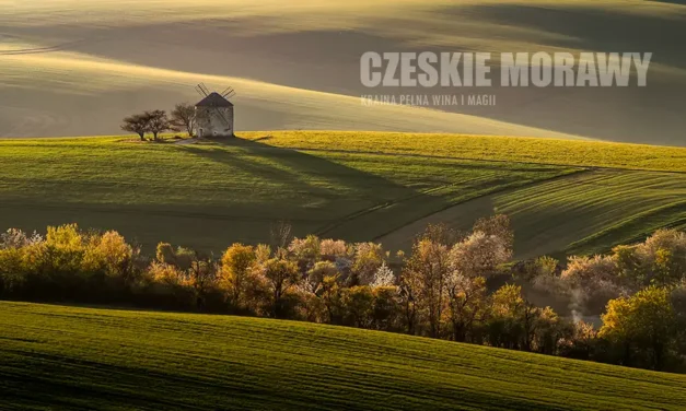 Czeskie Morawy — degustacja marzeń w Valticach
