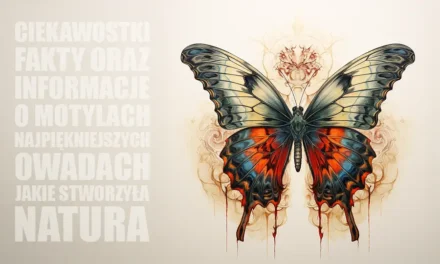 Ciekawostki o motylach najpiękniejszych owadach