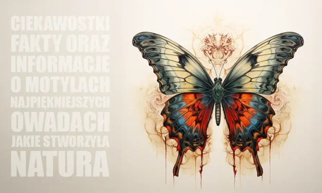 Ciekawostki o motylach najpiękniejszych owadach