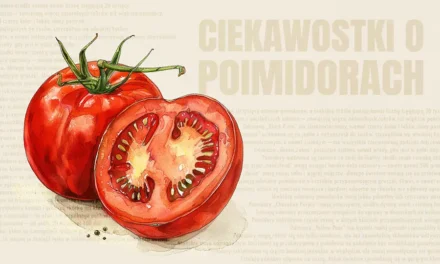 Ciekawostki o pomidorach oraz fakty, które cię zaskoczą