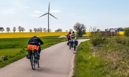 Gravel czy rower szosowy – który będzie lepszy dla początkujących