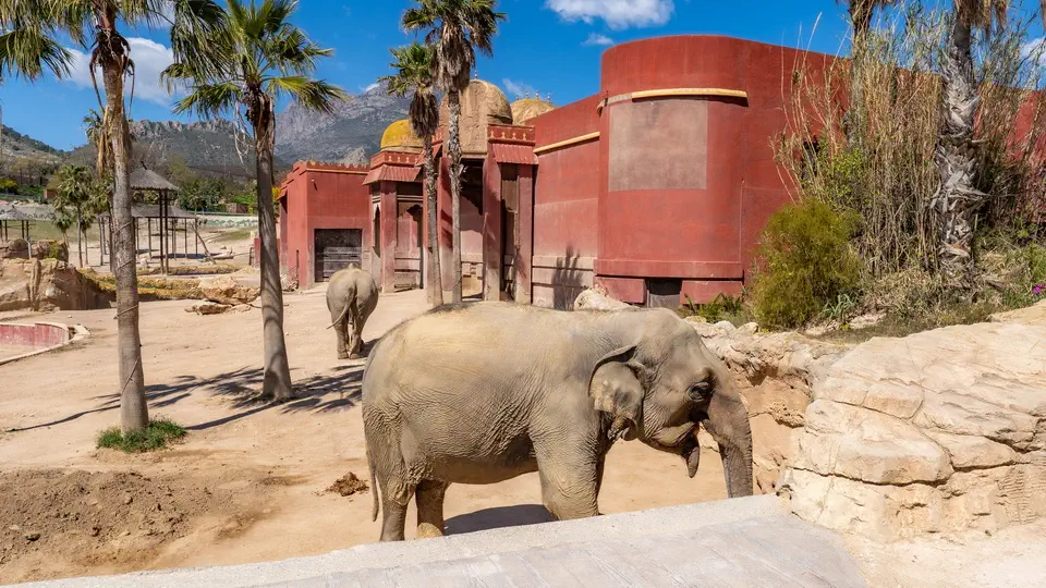 ZOO w Benidorm, Terra Natura.